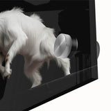 Close-up of a vibrant goat wall art design featuring detailed textures and colors, perfect for animal lovers and home decor enthusiasts, showcased on acrylic glass.