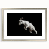 Framed wall art featuring a stylish goat design in a silver frame with a mat, perfect for animal lovers and home decor enthusiasts. Ideal for modern interiors.