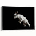 Framed wall art canvas featuring a detailed goat design in a wild life theme, set against a black background, perfect for animal lovers and modern decor enthusiasts.