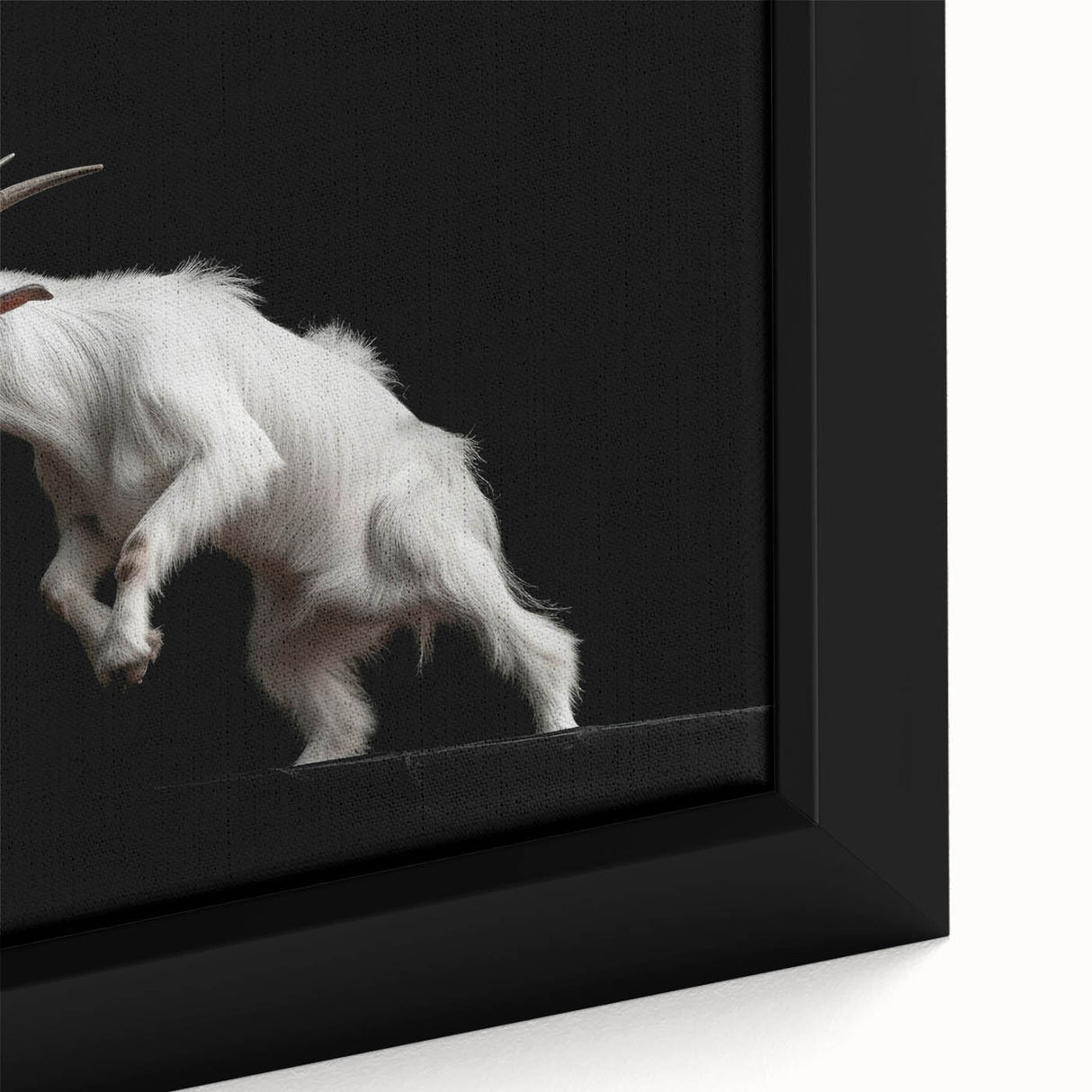 Close-up of a framed canvas featuring a vibrant goat design from the "Animals A Wild Life" collection, showcasing intricate details and rich colors, perfect for animal lovers and home decor enthusiasts.