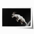 Stylish wall art print showcasing a vibrant goat design inspired by wildlife, featuring rich colors and intricate details, perfect for animal lovers and home decor.