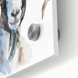 Close-up of a striking acrylic glass wall art piece featuring a wild goat design, showcasing vibrant colors and intricate details, perfect for animal lovers and home decor enthusiasts.