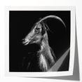 Goat-themed wall art design on a glossy canvas, showcasing vibrant colors and intricate details, ideal for animal lovers and home decor enthusiasts.