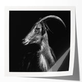 Goat-themed wall art design on a glossy canvas, showcasing vibrant colors and intricate details, ideal for animal lovers and home decor enthusiasts.