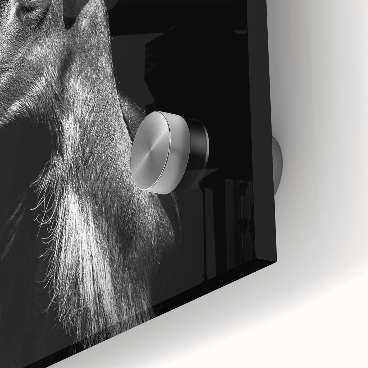 Close-up of a vibrant acrylic glass wall art piece featuring a detailed goat design from the Animals A Wild Life collection, highlighting intricate textures and vivid colors, perfect for animal lovers.