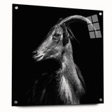 Side view of a goat-themed wall art piece, showcasing vibrant colors and intricate design details, mounted with pins on a clear acrylic glass background. Ideal for animal lovers and home decor enthusiasts.