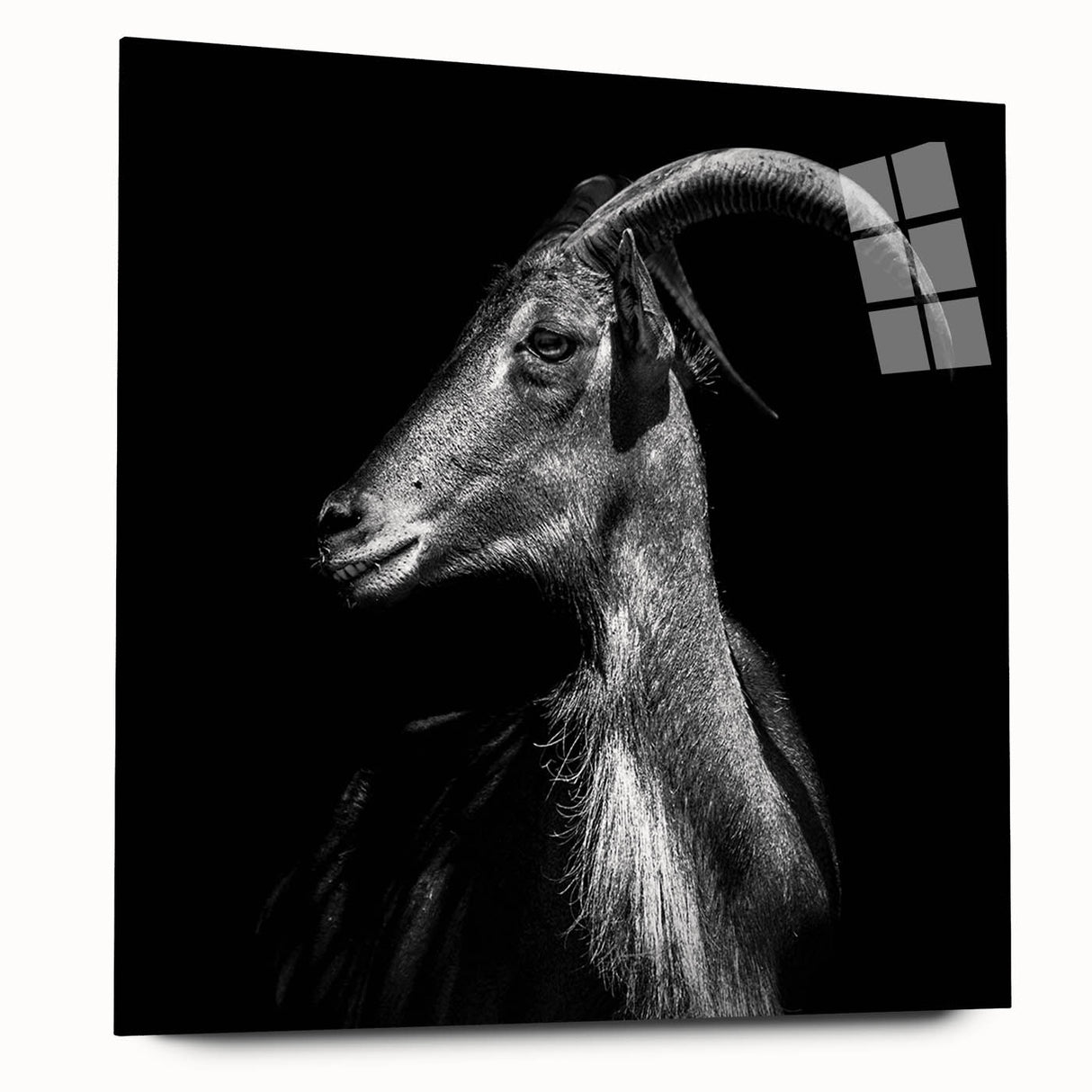 Acrylic wall art design featuring a side view of a vibrant goat illustration, showcasing intricate details and vivid colors, perfect for wildlife-themed decor.