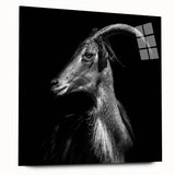 Acrylic wall art design featuring a side view of a vibrant goat illustration, showcasing intricate details and vivid colors, perfect for wildlife-themed decor.