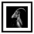 Framed wall art featuring a stylish goat design in black, part of the "A Wild Life" collection, with a white mat and sleek black frame, ideal for modern decor.