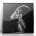 Framed acrylic wall art featuring a colorful goat design, set against a sleek black background. Ideal for animal lovers and modern decor enthusiasts.