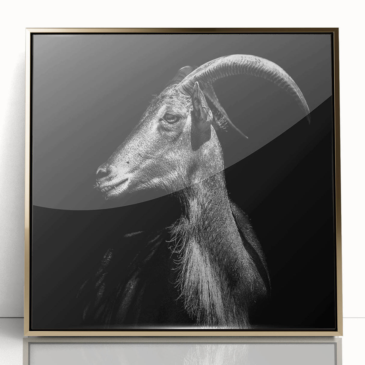 Framed wall art featuring a goat design from the "Animals: A Wild Life" collection, showcasing intricate details with a gold-acrylic finish, perfect for modern decor.