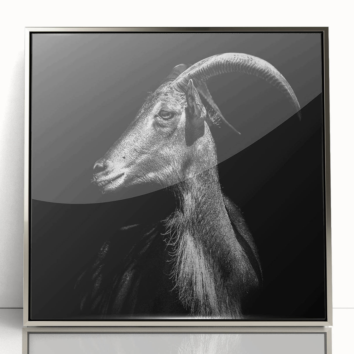 Framed wall art featuring a striking goat design from the 'Animals: A Wild Life' collection, showcased with a sleek silver finish, perfect for modern decor.
