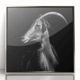 Framed wall art featuring a striking goat design from the 'Animals: A Wild Life' collection, showcased with a sleek silver finish, perfect for modern decor.