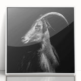 Framed acrylic wall art featuring a striking goat design from the "Animals: A Wild Life" collection, set against a white background, perfect for animal lovers and modern décor.