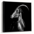 Framed canvas wall art featuring a striking goat design in a wild-life style, presented in a contemporary black frame, ideal for animal lovers and home decor enthusiasts.