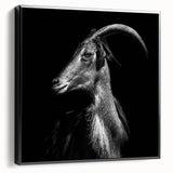 Framed canvas wall art featuring a striking goat design in a wild-life style, presented in a contemporary black frame, ideal for animal lovers and home decor enthusiasts.