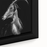 Close-up of a framed canvas featuring a vibrant goat design from a wildlife art collection, showcasing intricate details and rich colors, perfect for animal lovers' decor.