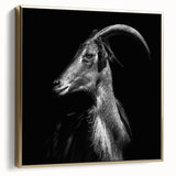 Framed wall art showcasing a side view of a goat design, elegantly displayed with a gold frame, perfect for animal lovers and modern decor enthusiasts.