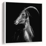Framed canvas wall art depicting a stylized goat design in a white frame, showcasing intricate details and vibrant colors, perfect for animal lovers and home decor enthusiasts.