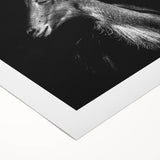 Rolled canvas wall art showcasing a whimsical goat design, featuring vibrant colors and intricate details, perfect for adding a unique touch to home decor.
