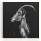 Stretched canvas wall art showcasing a vibrant goat design, featuring rich colors and intricate details, perfect for adding a wild aesthetic to home decor.