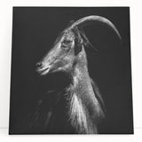 Canvas wall art featuring a striking goat design from a wild animal collection, showcasing vibrant colors and intricate details, perfect for nature-themed decor.