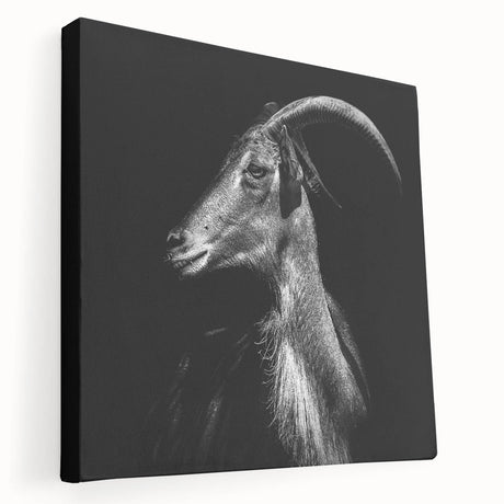 Stretched canvas wall art featuring a side view of a whimsical goat design, showcasing vibrant colors and intricate details, ideal for animal lovers and home decor enthusiasts.