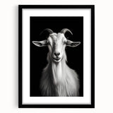 Framed wall art featuring a whimsical goat design from the "Animals A Wild Life" collection, set against a black mat and sleek frame, ideal for animal lovers and home decor enthusiasts.