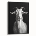 Framed canvas wall art featuring a stylized goat design against a black background, showcasing intricate details and vibrant colors, ideal for modern décor.