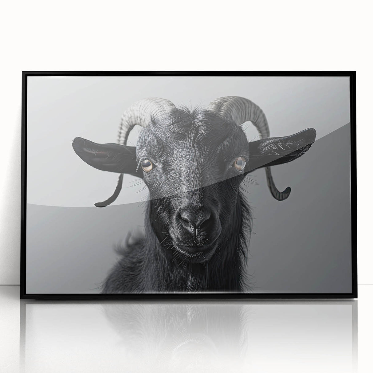 Framed wall art featuring a striking black goat design from the "Animals: A Wild Life" collection, set in a sleek black frame, perfect for modern decor.