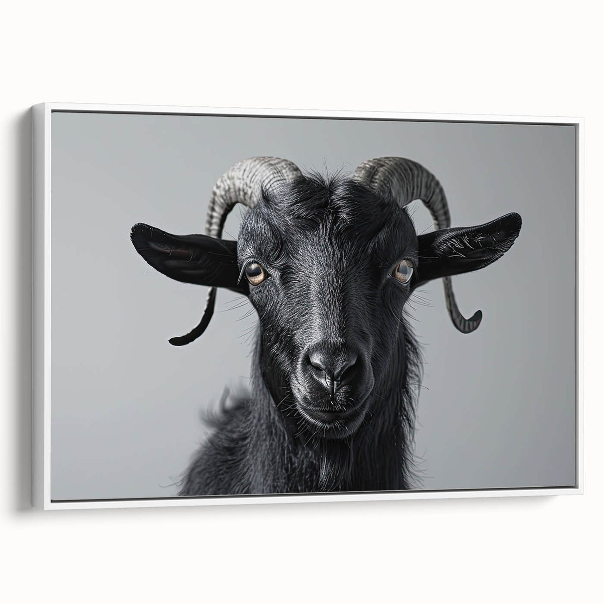 Framed wall art collection featuring a side view of an artistic goat design on canvas, showcasing vibrant colors and intricate detailing, ideal for wildlife enthusiasts and modern decor.