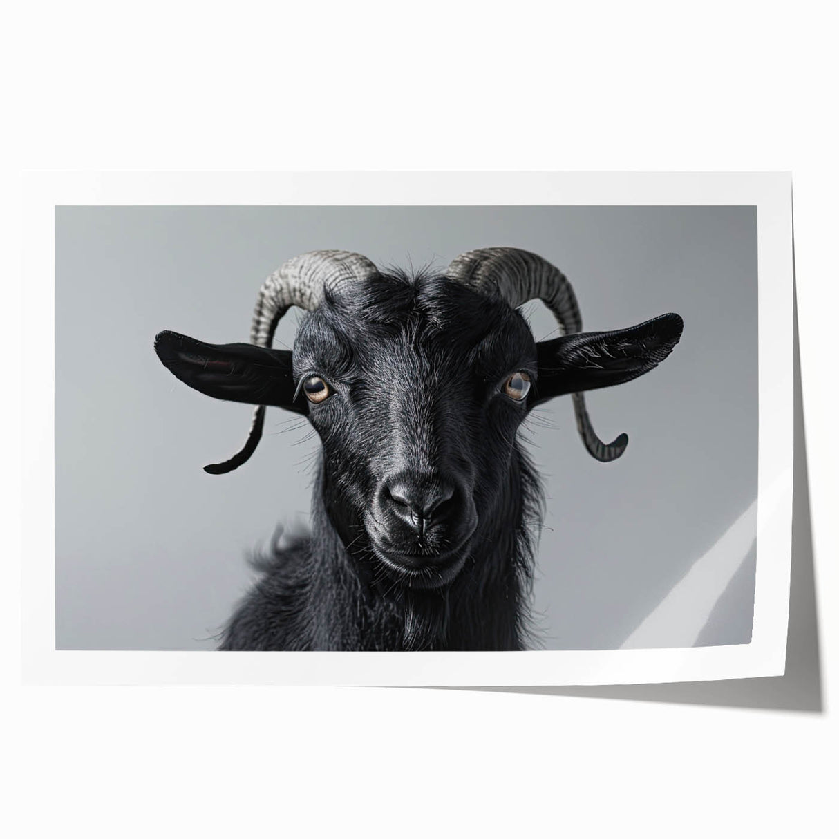 Colorful wall art print featuring a stylized goat design from the "A Wild Life" collection, showcasing intricate patterns and vibrant hues, perfect for home decor.