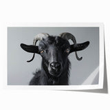 Colorful wall art print featuring a stylized goat design from the "A Wild Life" collection, showcasing intricate patterns and vibrant hues, perfect for home decor.