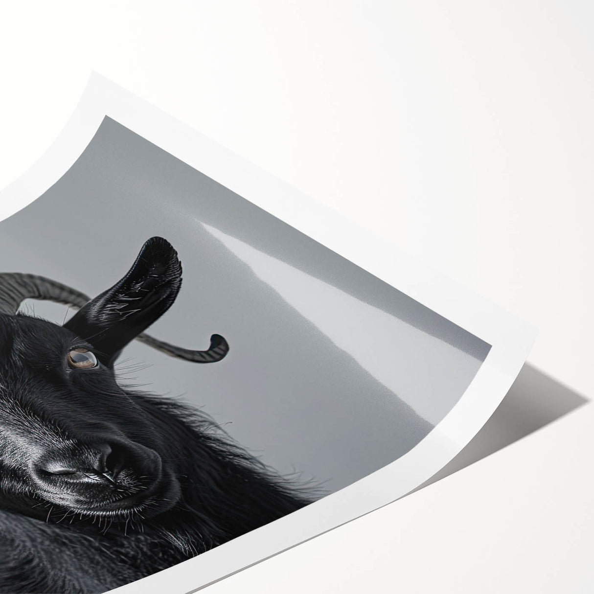 Rolled wall art print featuring a vibrant goat design, showcasing intricate details and earthy tones, ideal for animal lovers and home decor enthusiasts.