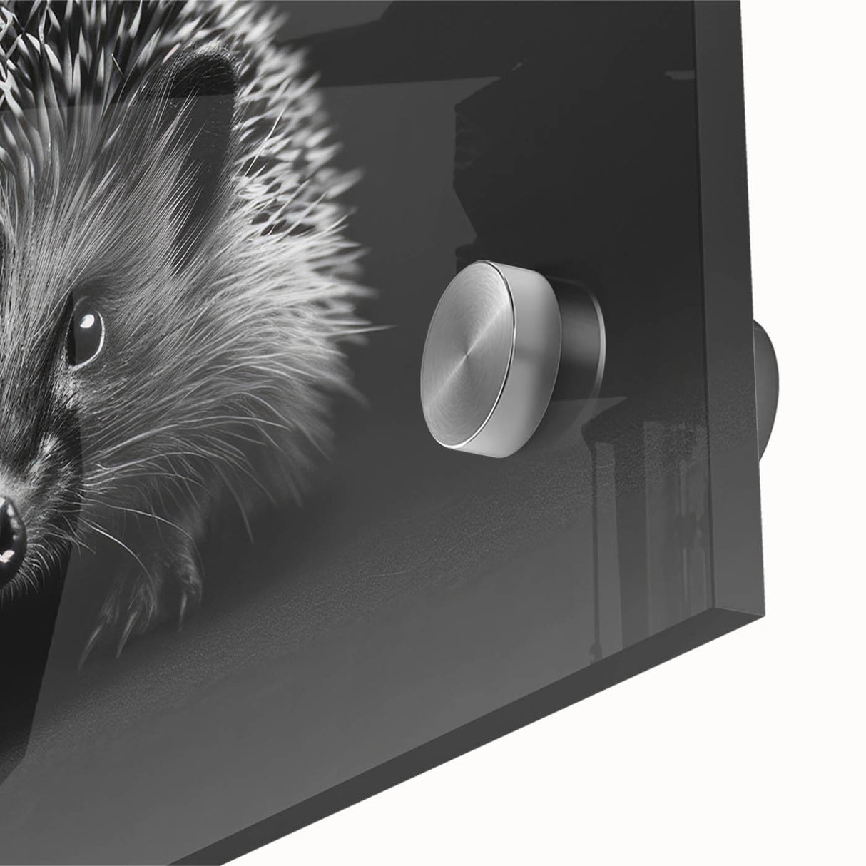 Close-up of a hedgehog wall art design, showcasing intricate details and vibrant colors in an acrylic glass frame, perfect for wildlife-themed decor.