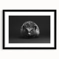 Hedgehog-themed wall art collection framed with a black mat, showcasing intricate wildlife design. Ideal for nature lovers and home decor enthusiasts.