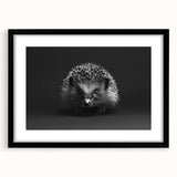 Hedgehog-themed wall art collection framed with a black mat, showcasing intricate wildlife design. Ideal for nature lovers and home decor enthusiasts.