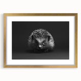 Framed wall art featuring a whimsical hedgehog design with a gold mat, perfect for adding a playful touch to children's rooms or nature-themed decor.
