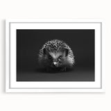 Hedgehog wall art design featuring a charming illustration of a hedgehog in a natural setting, framed with a white mat, ideal for animal lovers' decor.