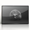 Framed wall art featuring a detailed hedgehog design set against a black background, showcasing vibrant colors and intricate patterns, ideal for wildlife enthusiasts.