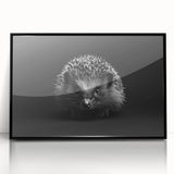 Framed wall art featuring a detailed hedgehog design set against a black background, showcasing vibrant colors and intricate patterns, ideal for wildlife enthusiasts.