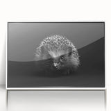 Framed acrylic wall art featuring a detailed hedgehog design, showcasing vibrant colors and intricate patterns against a white background, perfect for animal lovers and home decor enthusiasts.