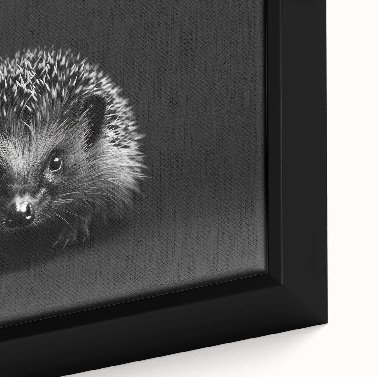 Close-up of a framed canvas wall art piece showcasing a detailed hedgehog design against a vibrant background, perfect for animal lovers and home decor enthusiasts.