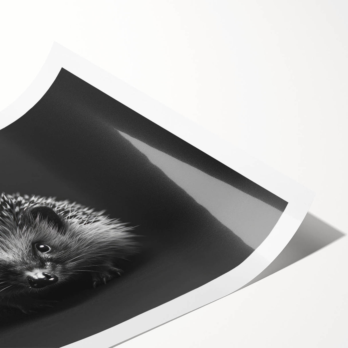 Hedgehog wall art print showcasing a whimsical, colorful design, rolled for easy display and shipping, ideal for nature-themed home decor. Perfect for animal lovers.
