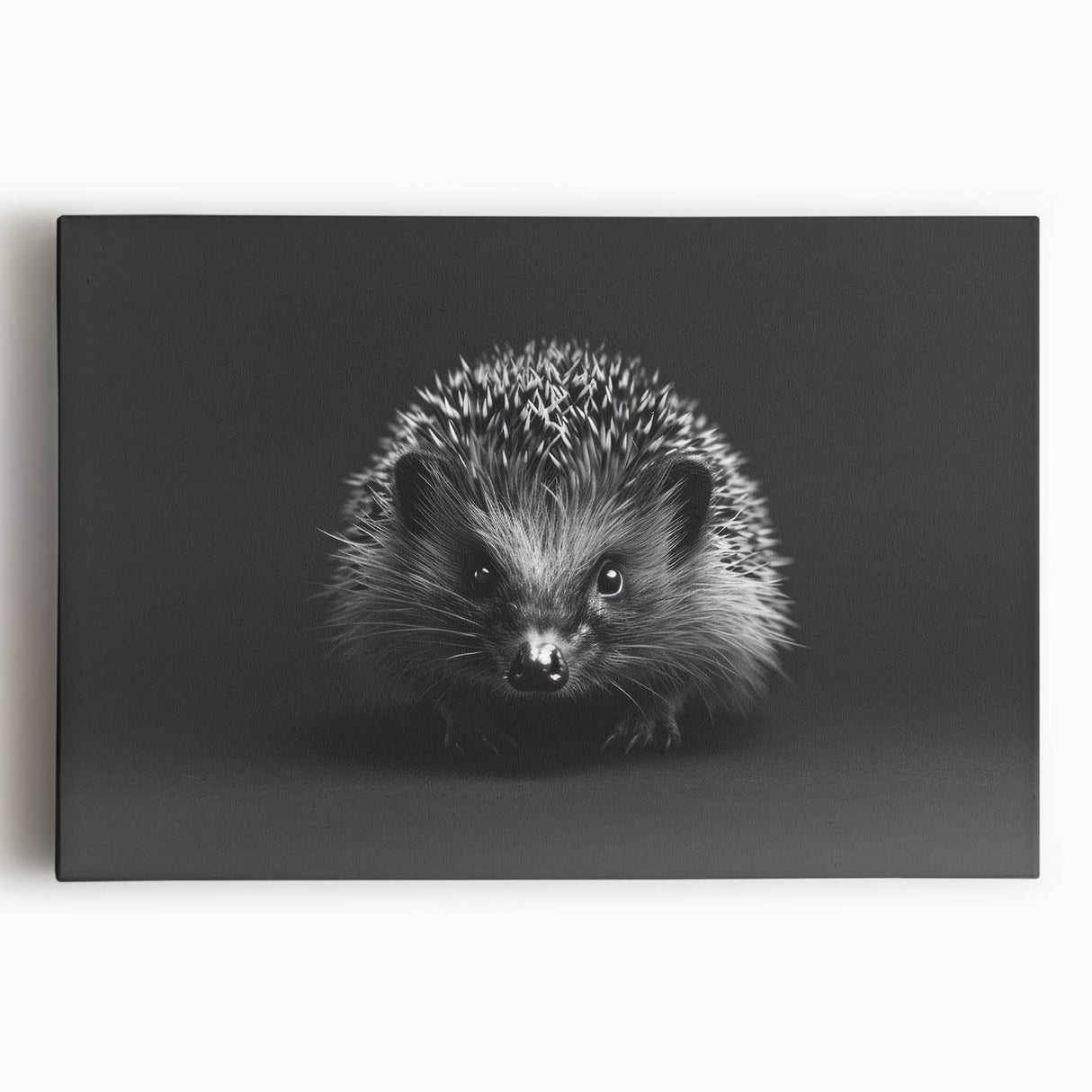 Front view of a stretched canvas wall art featuring a whimsical hedgehog design, showcasing vibrant colors and intricate details, perfect for animal lovers' decor.