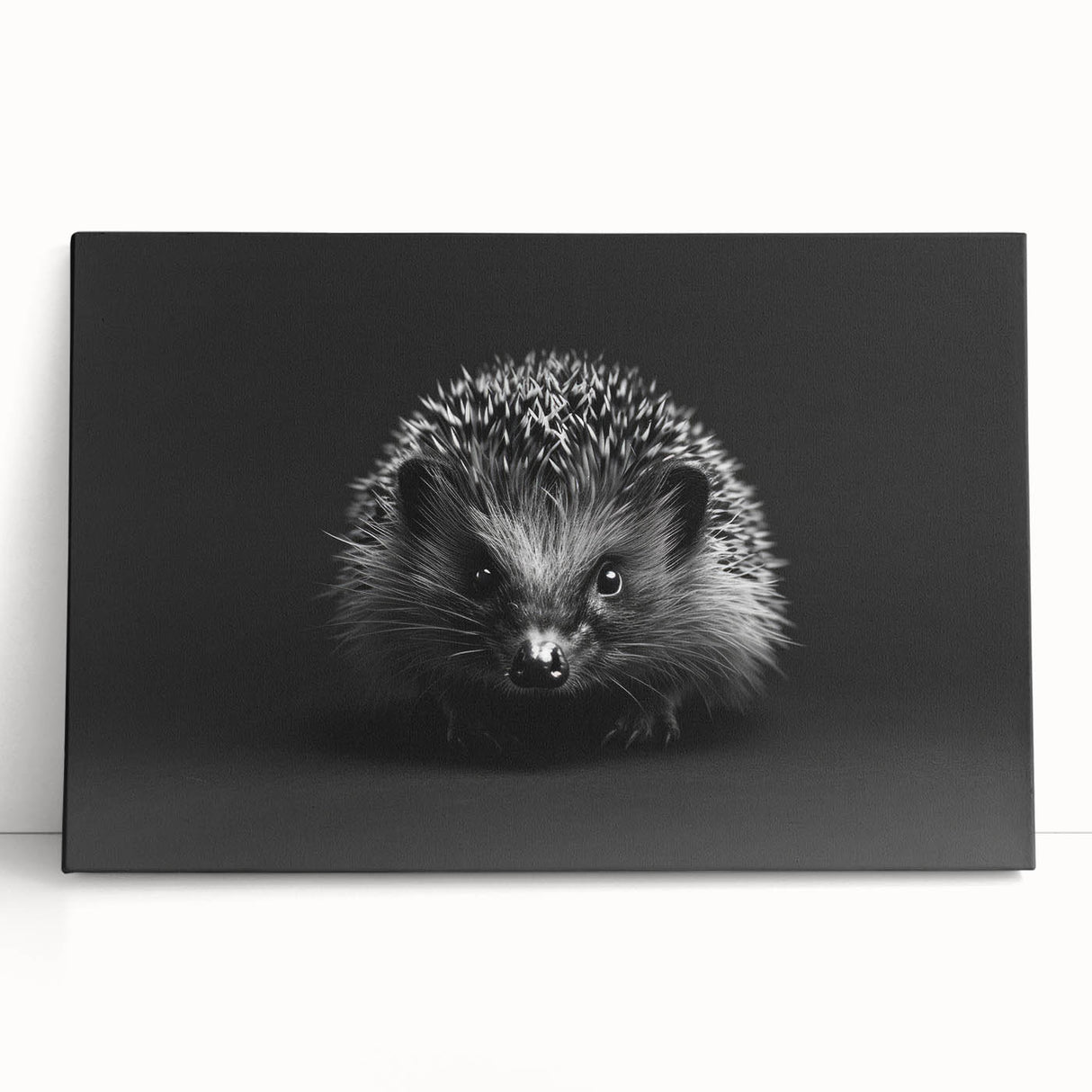 Stretched canvas wall art featuring a whimsical hedgehog design, showcasing vibrant colors and intricate details, perfect for adding a playful touch to any room.