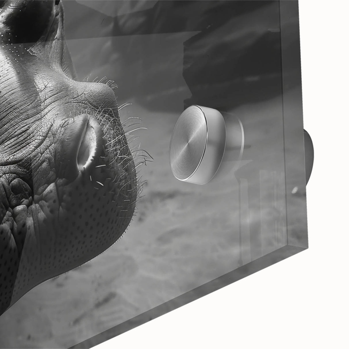 Close-up of a vibrant acrylic wall art piece showcasing a whimsical hippopotamus design, featuring bold colors and intricate details, ideal for animal lovers and decor enthusiasts.