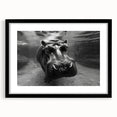 Hippopotamus wall art print in a black frame, showcasing vibrant colors and intricate details, perfect for animal lovers and home decor enthusiasts. Ideal for enhancing living spaces with a touch of wildlife elegance.