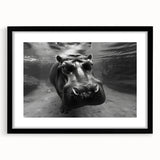 Hippopotamus wall art print in a black frame, showcasing vibrant colors and intricate details, perfect for animal lovers and home decor enthusiasts. Ideal for enhancing living spaces with a touch of wildlife elegance.