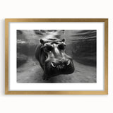 Hippopotamus wall art design featuring a gold frame and mat, showcasing a vibrant front view of the animal in a natural setting, perfect for wildlife enthusiasts.